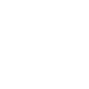 Enercept Icons_White_Framing + Insulation + Sheathing framing icon