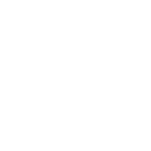 Enercept Icons_White_Timber Frame timber frame icon